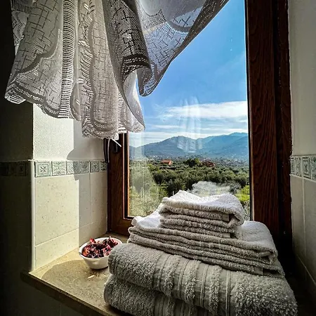 Bed & Breakfast Nero Buono