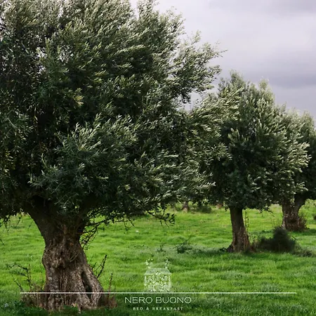 Nero Buono