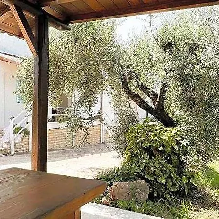 Nero Buono Cori