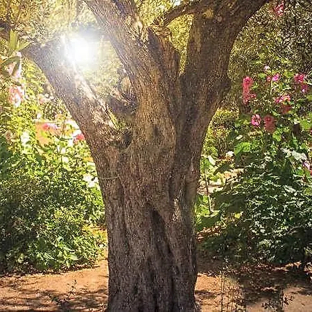 לינה וארוחת בוקר Nero Buono 4*